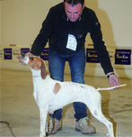 SACHA
