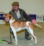GIL DE LOS ARRIBES
