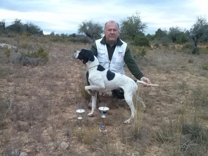 BUCK I DEL CASTILLO DE ALMANSA